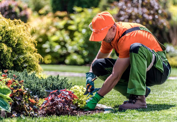 servicios-mantenimiento-de-jardines